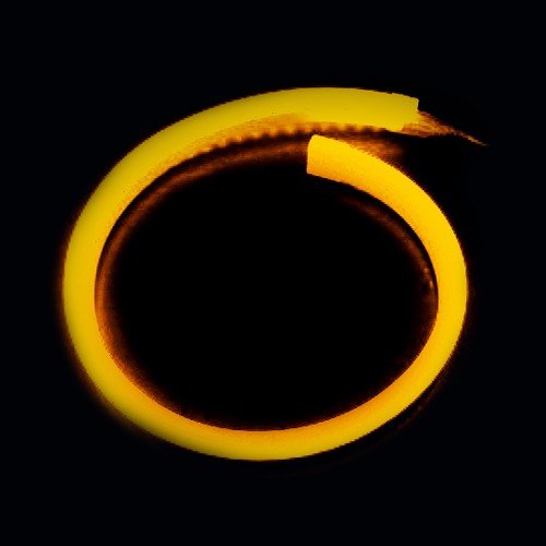 картинка Неон - Flex, цвет желтый. магазин  StreetTuning 