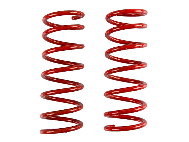 картинка Пружины подвески для Ford Focus 1 (-30) задние магазин  StreetTuning 